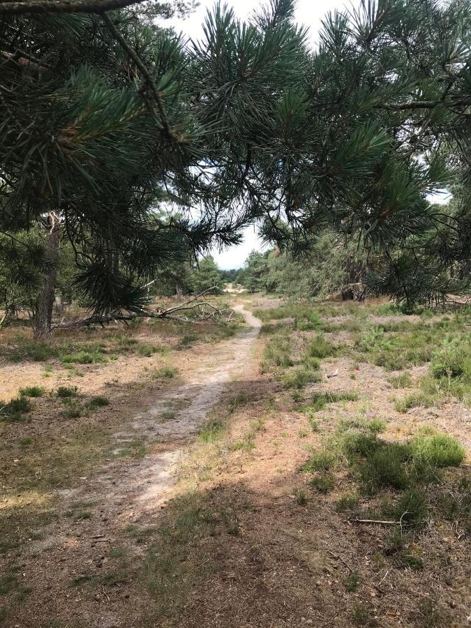 Boshuisje Veluwe Mels PlaceDoornspijk エクステリア 写真