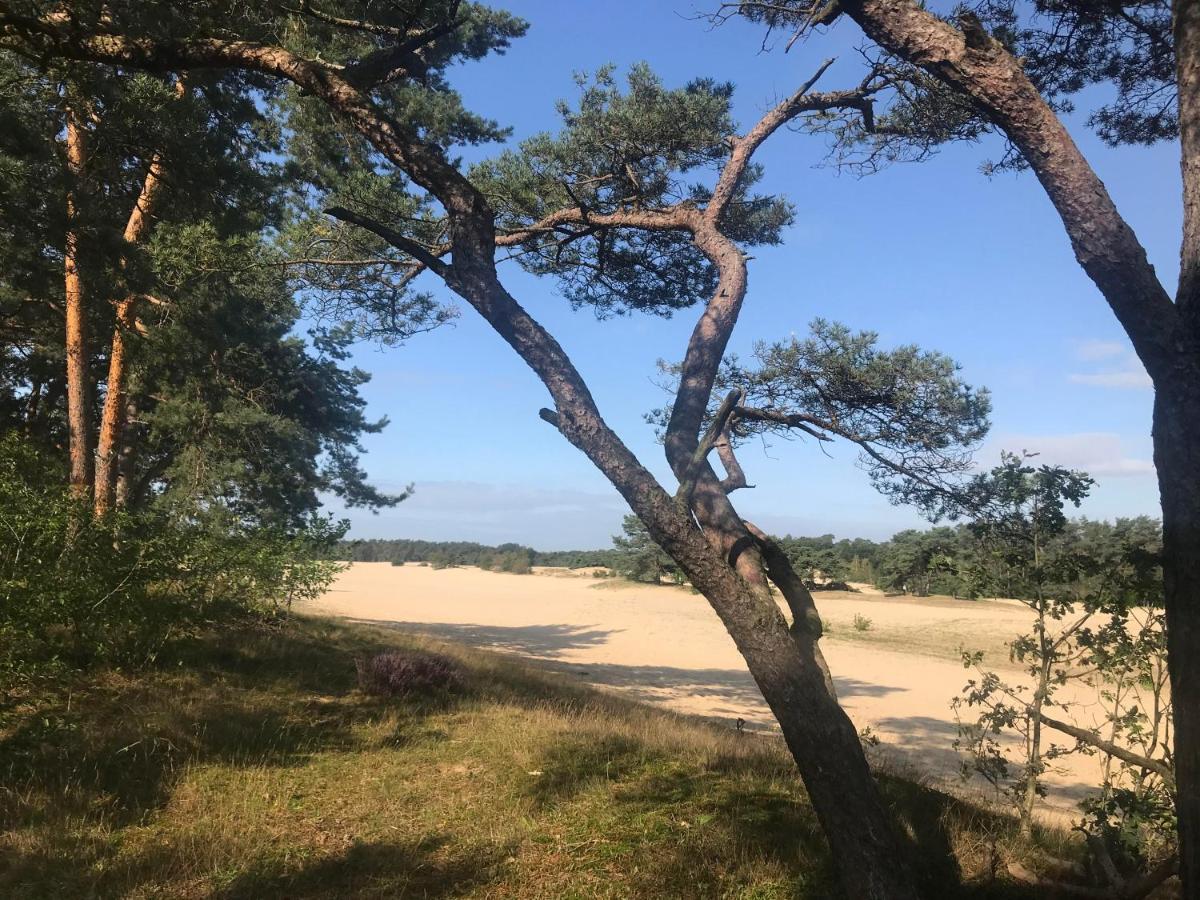 Boshuisje Veluwe Mels PlaceDoornspijk エクステリア 写真